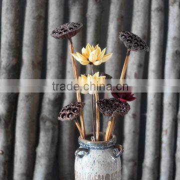 New Artificial Water Lily Home and Garden Decoration Garden Decoration Natural Dried Lotus Artificial Flowers photo-5