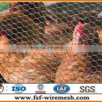 gabion box /Hexagonal chicken wire mesh