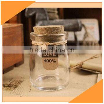 100ml Hot Sale Small Glass Bottle With Cork