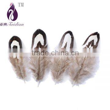 Decorative feathers plumage,pheasant feathers                        
                                                Quality Choice