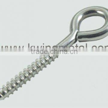 Stainless Steel Lag Eye Bolt