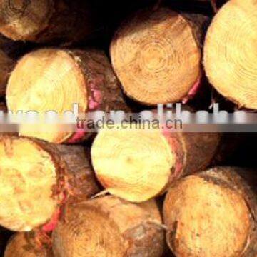 Bed Slats LVL Pine / Birch Wood Logs Hardwood Popular Shandong photo-3