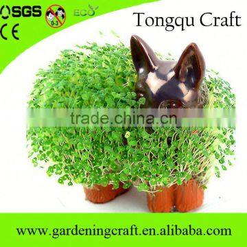 Return Gifts for Birthday Chia Pet Diwali Gifts Baby Shower Gifts photo-5