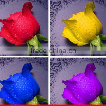 cheap 30x30cm simple rose flower design 5D resin stone DIY painting