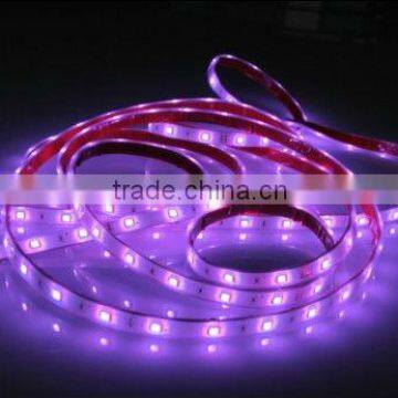 deluxe type led strip light