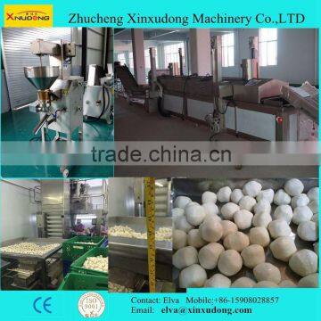 Fish ball machine