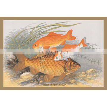 Golden and Bronze Carp 12x18 Giclee on canvas