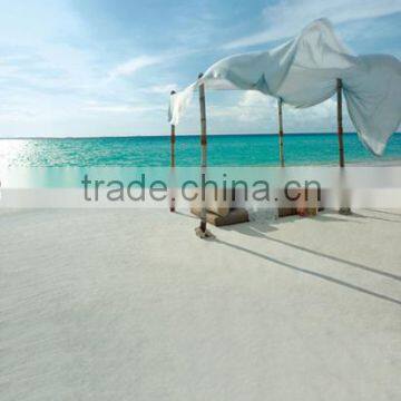 Scenery Digital Backdrop For Photograph Studio Wedding Background