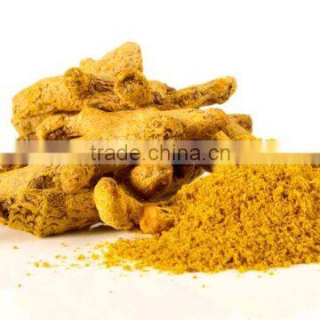 Natural ginger extract powder Dried Ginger powder dark yellow powder