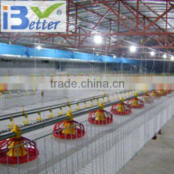 BT factory poultry equipment for broiler chicken