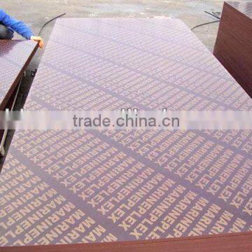 waterproof film faced plywood , film faced plywood buyer , film faced plywood machine