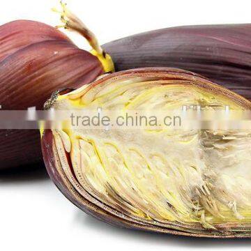 Banana Flower Exporters photo-3