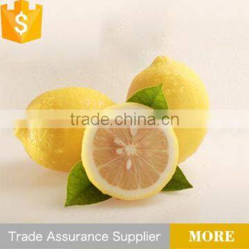 fresh lemon price for sale