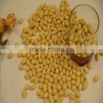 New crop quality Blanched Peanut kernel 25/29