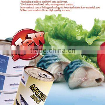 Certificated Canned Mackerel in Brine photo-6