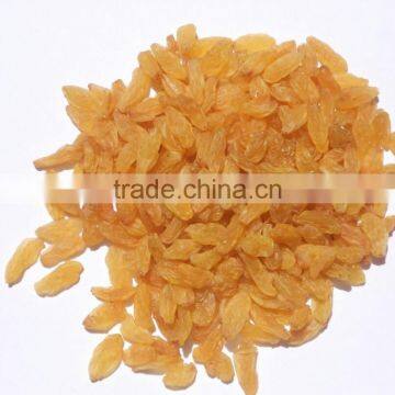 Golden Jumbo Raisin