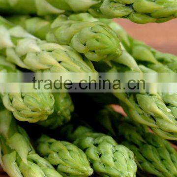 Frozen Asparagus photo-2