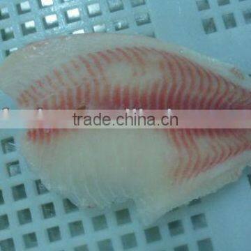 frozen tilapia fillet wholesale price