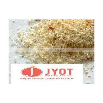 Plantago Psyllium