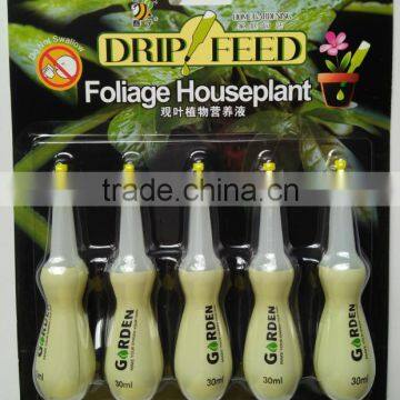 Drip Feed Foliage Houseplant