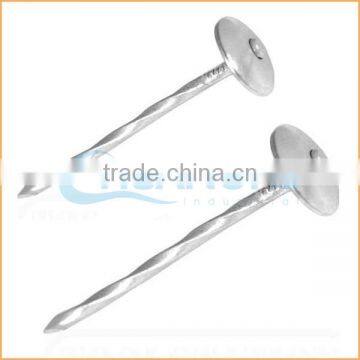 Top Quality Umbrella Head Thread Roofing Nail Trusted Chuanghe Suppliers From Com photo-4
