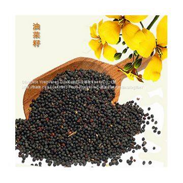 Rapeseed oil/Canola seeds oil process and rapeseed oil refining equipment