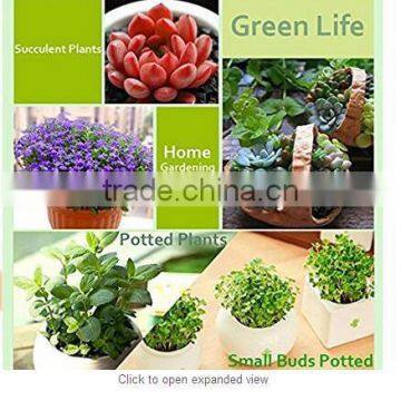 High Quality 10W Led Clip Grow Light Hydroponict Are Hot-selling for Factory Buttom Price in 2017 photo-4