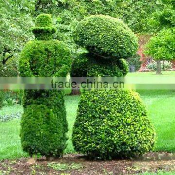 SJ100903 factory custom artificial boxwood buxus topiary sculpture animals