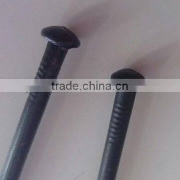 Black Concrete Nail, Mushroom Head Concrete Nail for Guangzhou Supplier photo-2