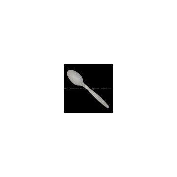 biodegradable disposable spoon