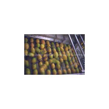 Mango processing line