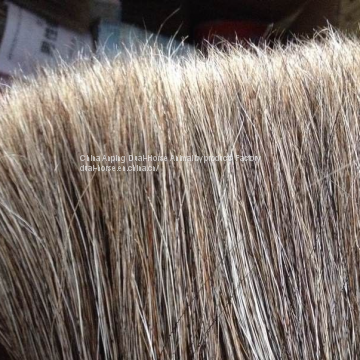 Horse Root Tail Hair
