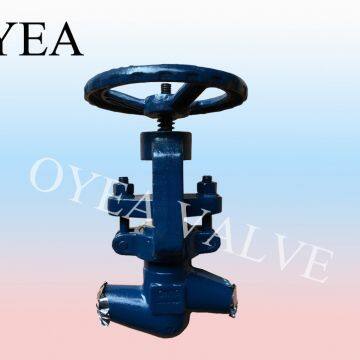 ANSI GB High Pressure Power Station Globe Valve