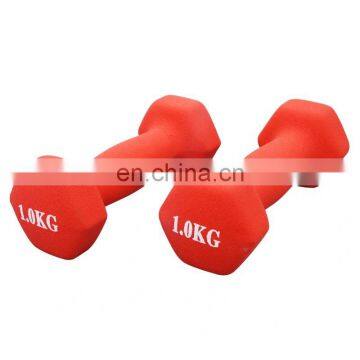 Fitness Equipment Adjustable Dumbbell Logo Plastic Dip Dumbbell Sets