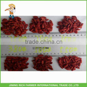 Dried Goji Berry 180Grains/50G