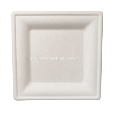 6\'\' 8\'\'10\'\' Square Sugarcane Bagasse Plates China supplier wholesale biodegradable Compostable microwave and freezer safe