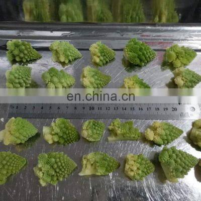 Hot Sale in Europe Japan Supermarket Chain Frozen Romanesco Broccoli