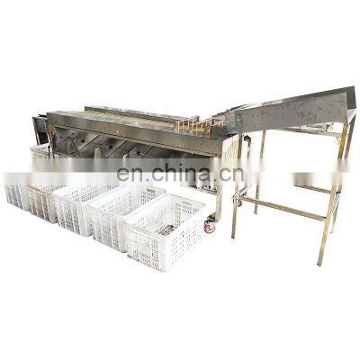 Commerical Passion Fruit Processing Avocado Onion Size Grading Sorting Machine. photo-3
