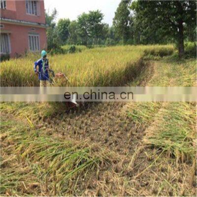 Mini Agricultural Machinery Price Reaper Head Cutter Machine Parts Raper Head for Tractor photo-3
