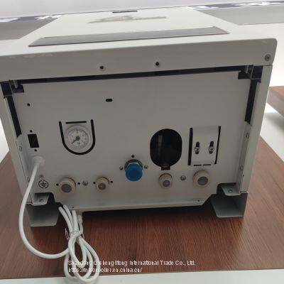 Professional Manufacturer Supplier Gas Geyser Electric Boilers Wall Mounted Tankless Water Heater Hydrogen gas Boiler