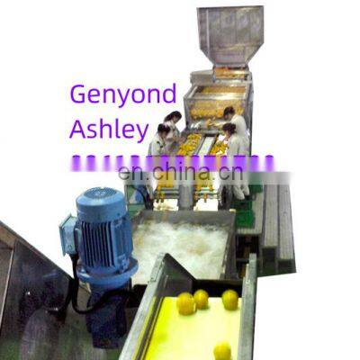 orange juice lemon juice concentrate  production line processing equipment turn-key project