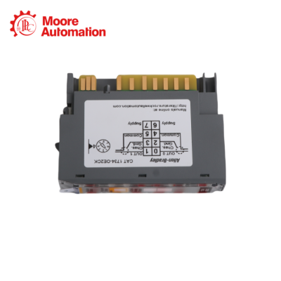 Allen Bradley 1734-OE2CK POINT I/O 2 выход тока в наличии photo-3