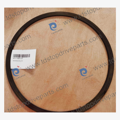 Canrig Top Drive Spare Parts M11-1026-010 Retaining Ring, Int For Oil and Gas Drilling