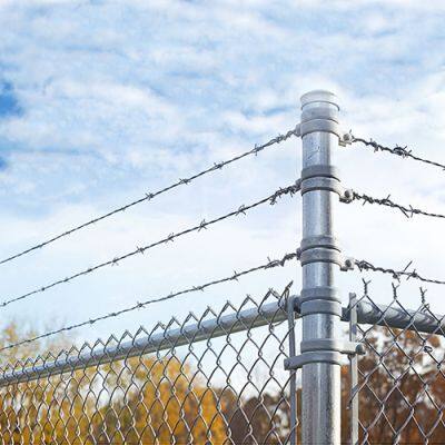 Hot Dipped Galvanized Barbed Wire Price Per Roll photo-2