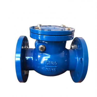 BS PN16 Cast Iron/Cast Steel /Ductile Iron WCB GG25 GGG50 EPDM NBR Rubber Soft Hard Seal Flange Check Valve Price photo-2