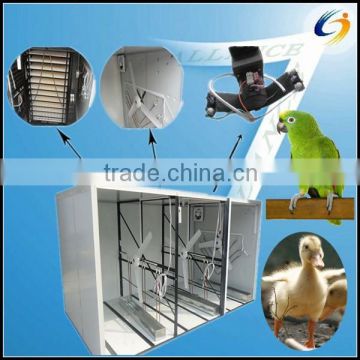 Best price automatic parrot brooders for sale hot in kenya