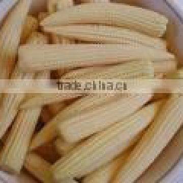 Canned baby corn whole