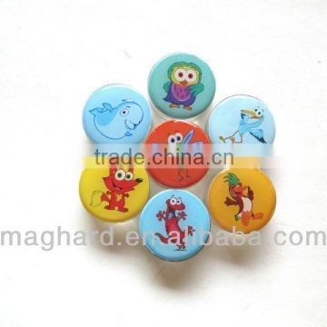 Small Cartoon Acrylic Fridge Magnet Dolphin/Fox/owl/Dragonfly/Crane/Duck