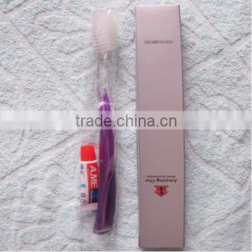 Hotel amenities disposable luxury hotel dental kit