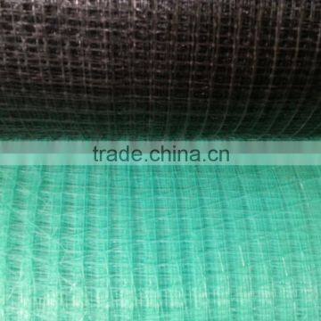 Anti- Bird Plastic Netting in Agriculture